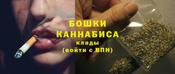 сатива Бронницы