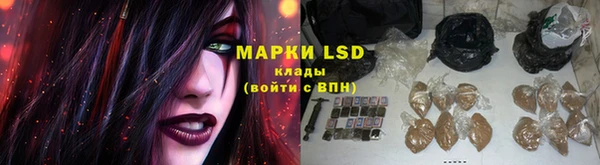 сатива Бронницы