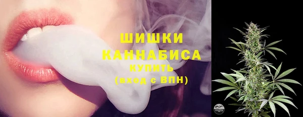 сатива Бронницы