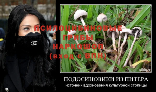 a pvp Бугульма