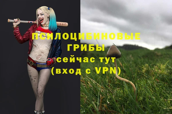 кокаин колумбия Бородино