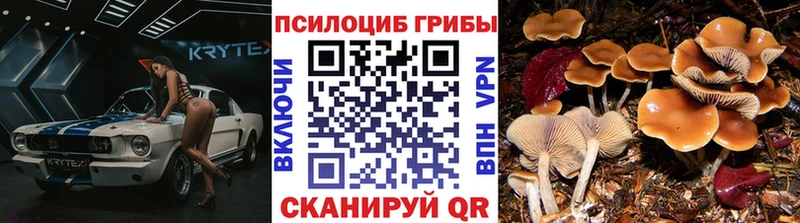 Галлюциногенные грибы Magic Shrooms  Мелеуз 